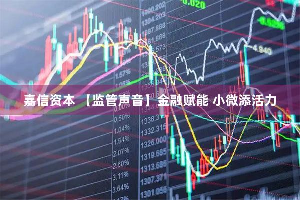 嘉信资本 【监管声音】金融赋能 小微添活力