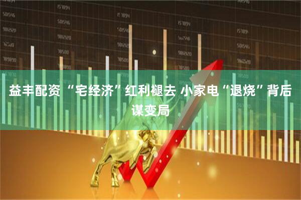 益丰配资 “宅经济”红利褪去 小家电“退烧”背后谋变局