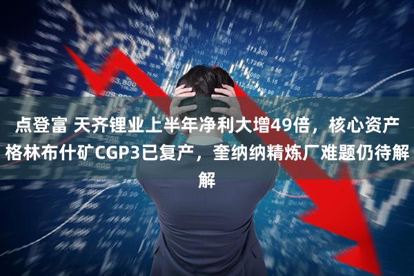点登富 天齐锂业上半年净利大增49倍，核心资产格林布什矿CGP3已复产，奎纳纳精炼厂难题仍待解